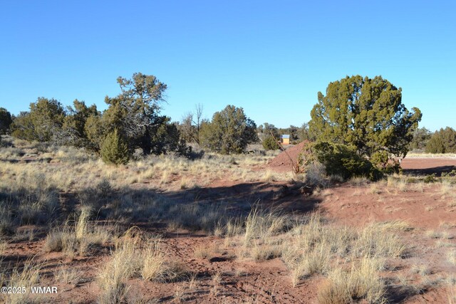 5450 County Line Rd, Snowflake, AZ 85937 - photo 17