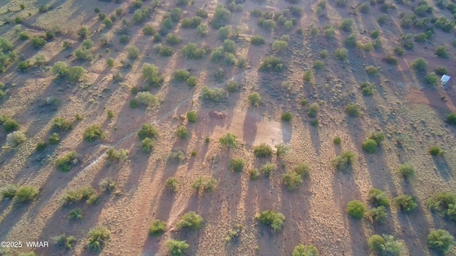 5450 County Line Rd, Snowflake, AZ 85937 - photo 40