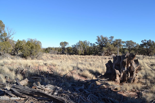 5450 County Line Rd, Snowflake, AZ 85937 - photo 30