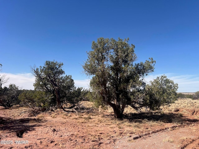 5450 County Line Rd, Snowflake, AZ 85937 - photo 15