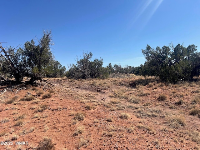 5450 County Line Rd, Snowflake, AZ 85937 - photo 10