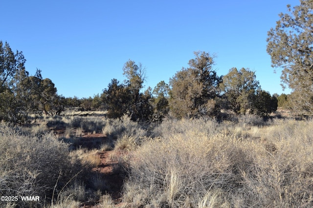 5450 County Line Rd, Snowflake, AZ 85937 - photo 11