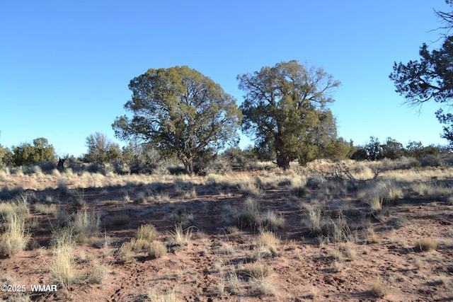 5450 County Line Rd, Snowflake, AZ 85937 - photo 32