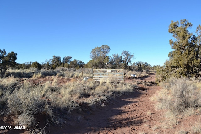 5450 County Line Rd, Snowflake, AZ 85937 - photo 28