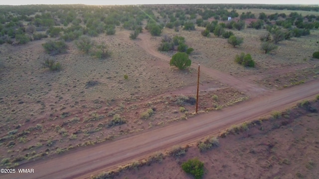 5450 County Line Rd, Snowflake, AZ 85937 - photo 3