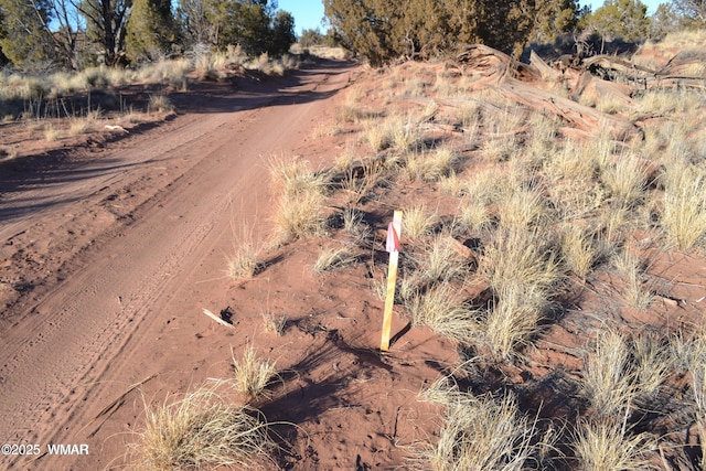 5450 County Line Rd, Snowflake, AZ 85937 - photo 27