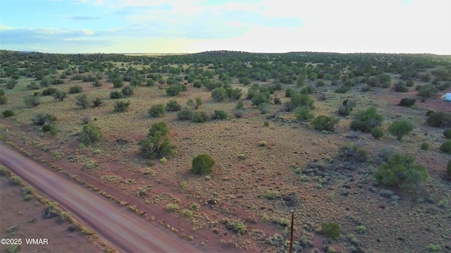 5450 County Line Rd, Snowflake, AZ 85937 - photo 41