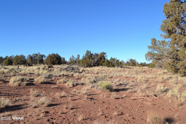 5450 County Line Rd, Snowflake, AZ 85937 - photo 29