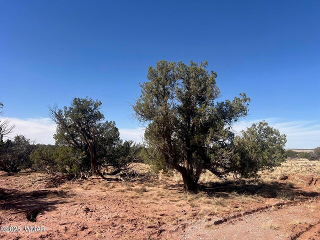 5450 County Line Rd, Snowflake, AZ 85937 - photo 22
