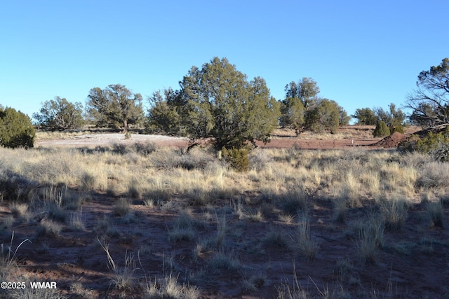 5450 County Line Rd, Snowflake, AZ 85937 - photo 12