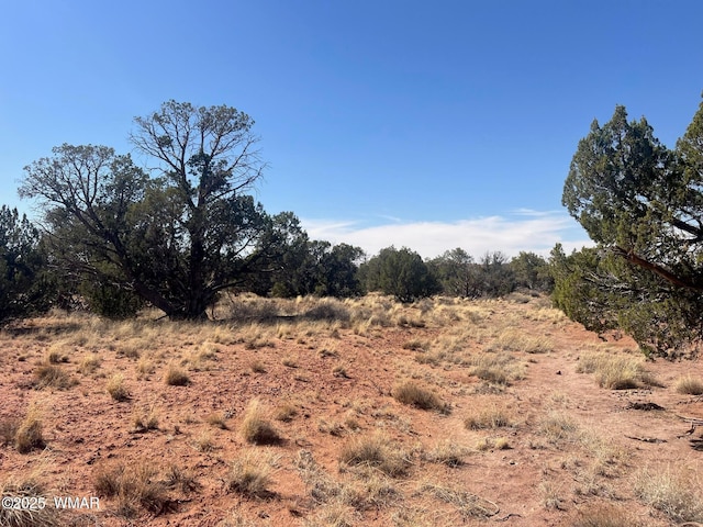 5450 County Line Rd, Snowflake, AZ 85937 - photo 2