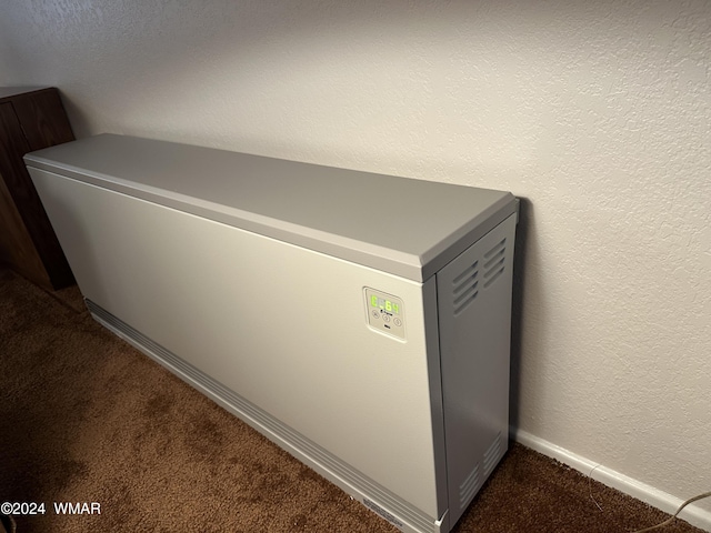 interior details with baseboards, carpet flooring, and a textured wall