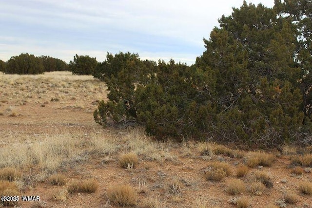 Listing photo 2 for LOT362 Chevelon Canyon Rnch, Heber AZ 85928