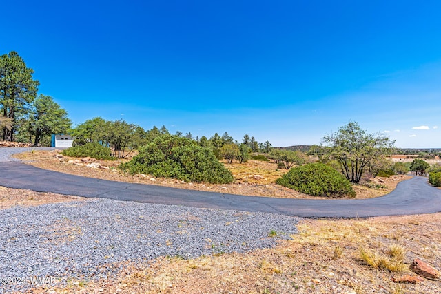 978 Timberland Rd, Show Low, AZ 85901 - view of road