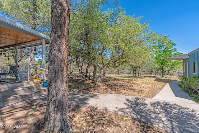 978 Timberland Rd, Show Low, AZ 85901 - view of yard with a patio area