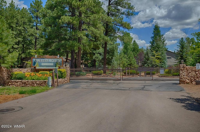 view of road featuring a gate and a gated entry