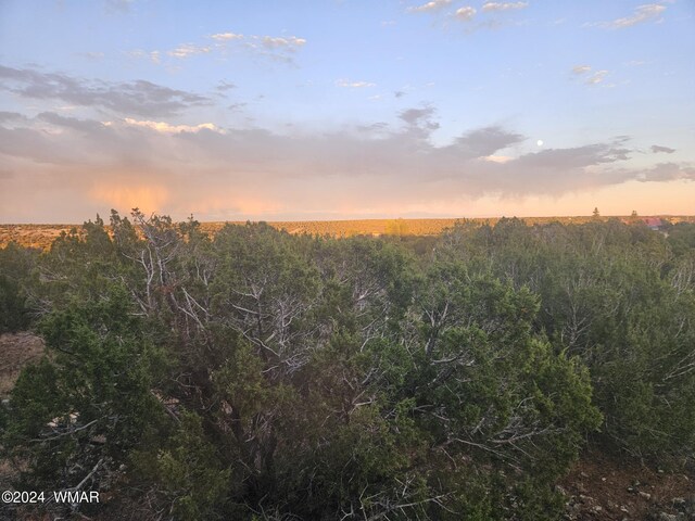 1953 Tee St, Show Low, AZ 85901