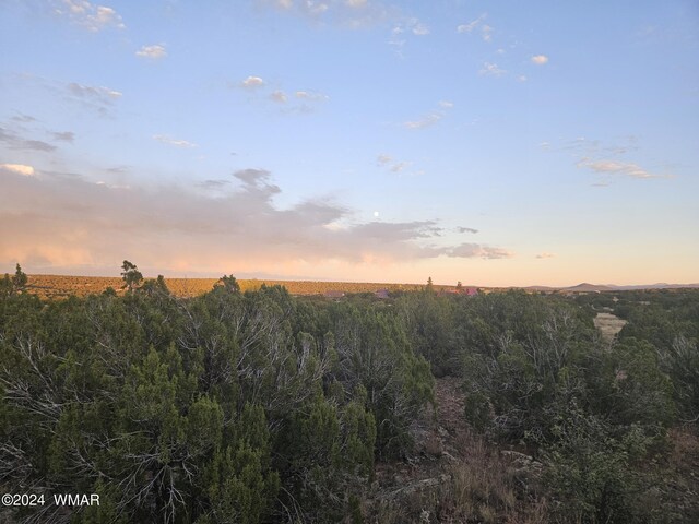 1953 Tee St, Show Low, AZ 85901
