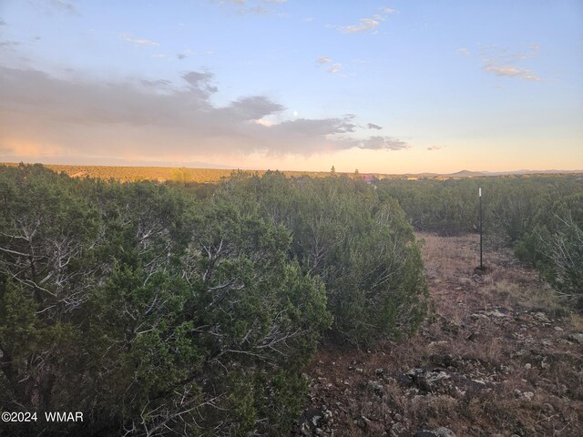 1953 Tee St, Show Low, AZ 85901