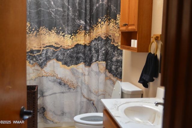 full bathroom featuring a sink, toilet, and curtained shower