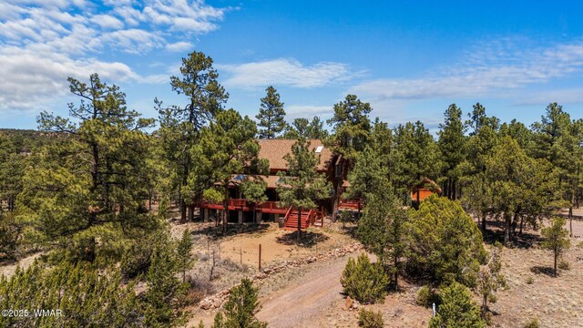 746 Jacks Wild Rd, Show Low, AZ 85901 - exterior space