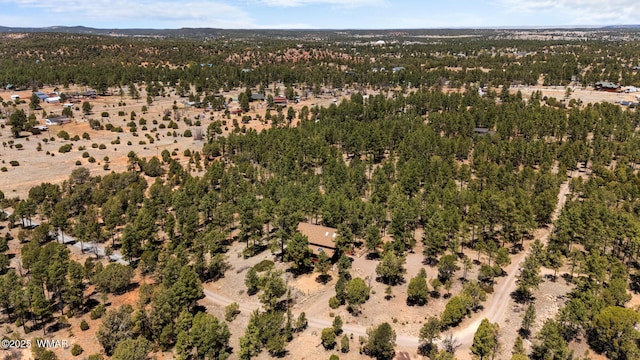 746 Jacks Wild Rd, Show Low, AZ 85901 - drone / aerial view
