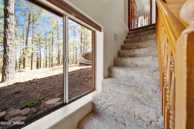 746 Jacks Wild Rd, Show Low, AZ 85901 - view of stairway