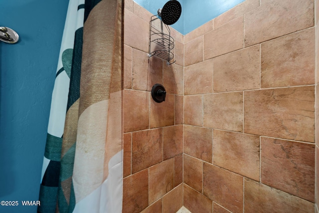 746 Jacks Wild Rd, Show Low, AZ 85901 - interior details featuring tiled shower
