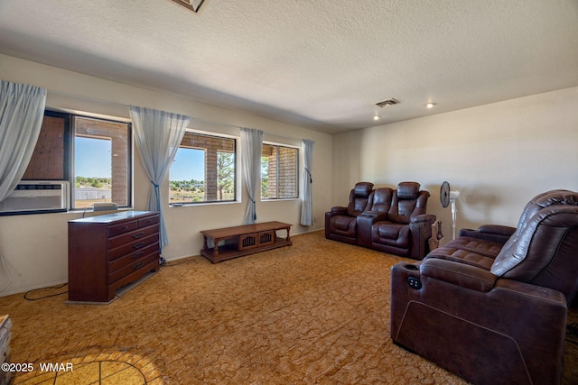 7070 Juniper Way, Show Low, AZ 85901 - photo 10