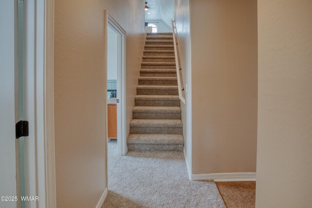 545 S 7th St, Snowflake, AZ 85937 - stairs featuring carpet floors and a textured wall