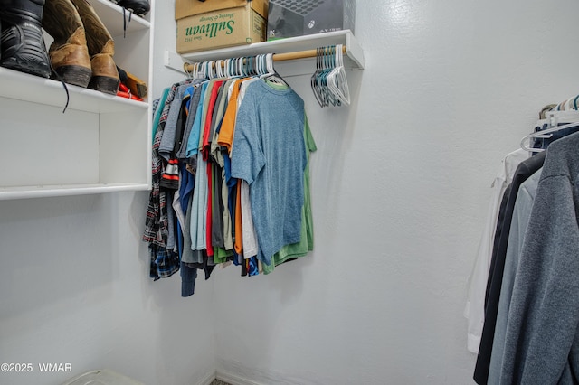 545 S 7th St, Snowflake, AZ 85937 - view of walk in closet