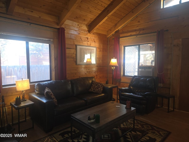 2145 Fishermans Rd, Overgaard, AZ 85933 - photo 13