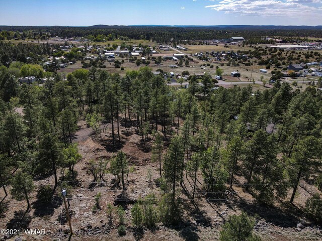 953 Miramon Dr, Lakeside, AZ 85929 - photo 3