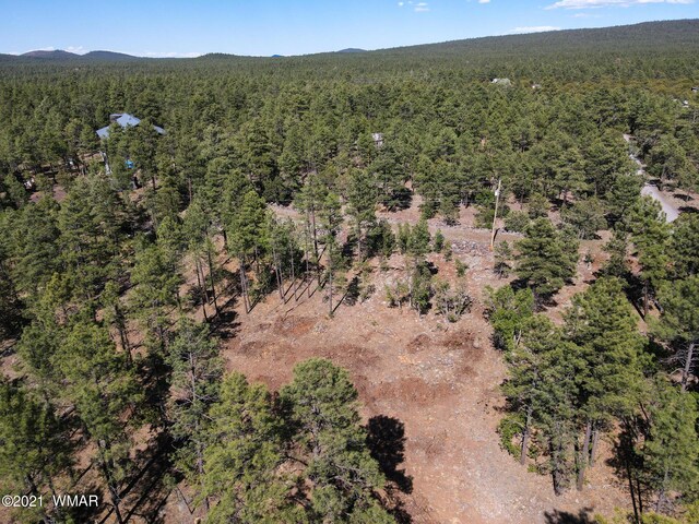 953 Miramon Dr, Lakeside, AZ 85929 - photo 2