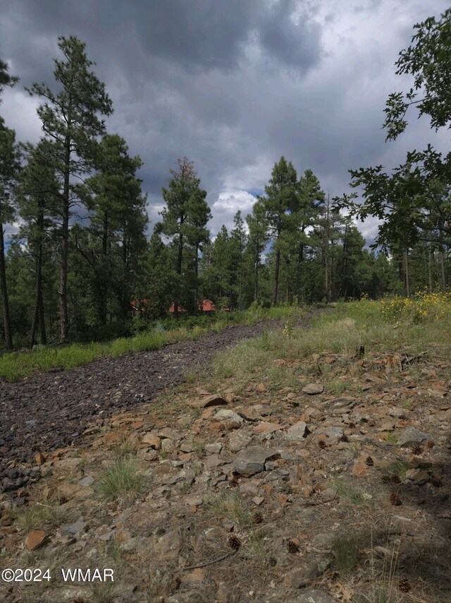 953 Miramon Dr, Lakeside, AZ 85929 - photo 11