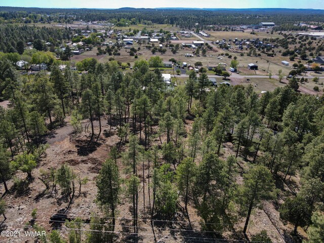 953 Miramon Dr, Lakeside, AZ 85929 - photo 5