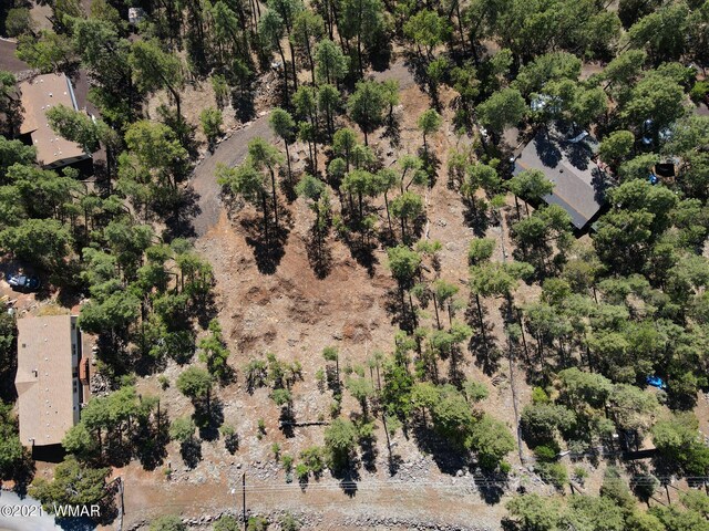 953 Miramon Dr, Lakeside, AZ 85929 - photo 4