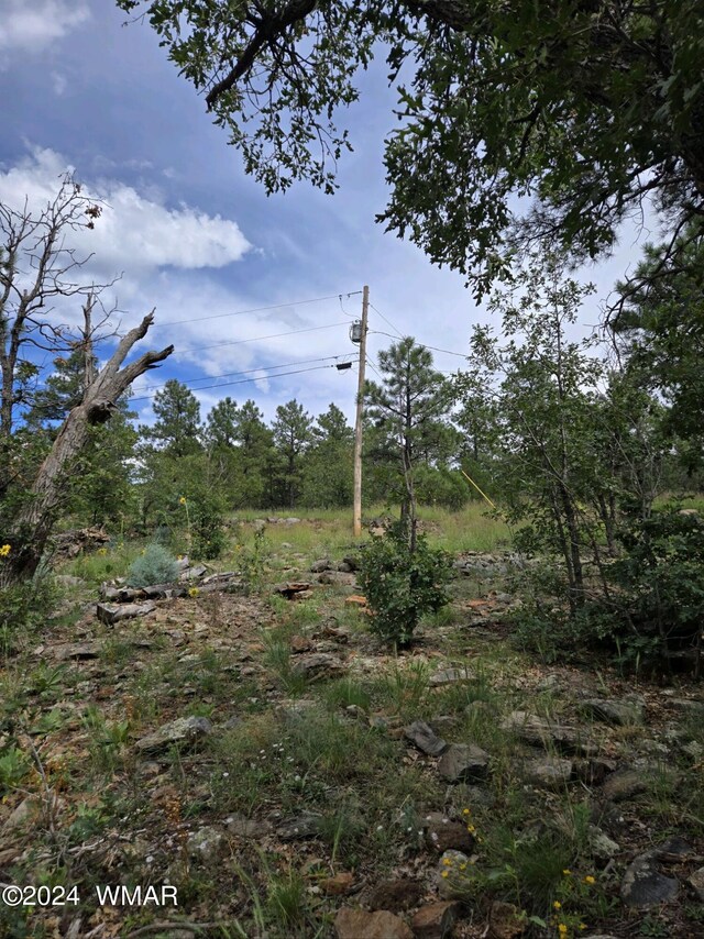 953 Miramon Dr, Lakeside, AZ 85929 - photo 14