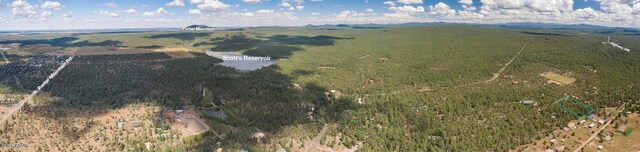 953 Miramon Dr, Lakeside, AZ 85929 - photo 9