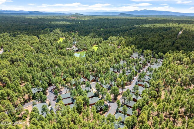 aerial view featuring a mountain view and a wooded view