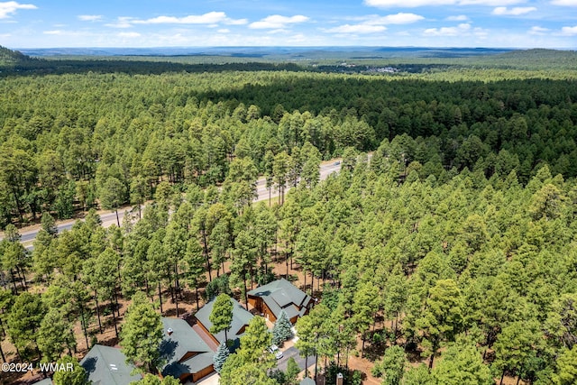 bird's eye view with a forest view