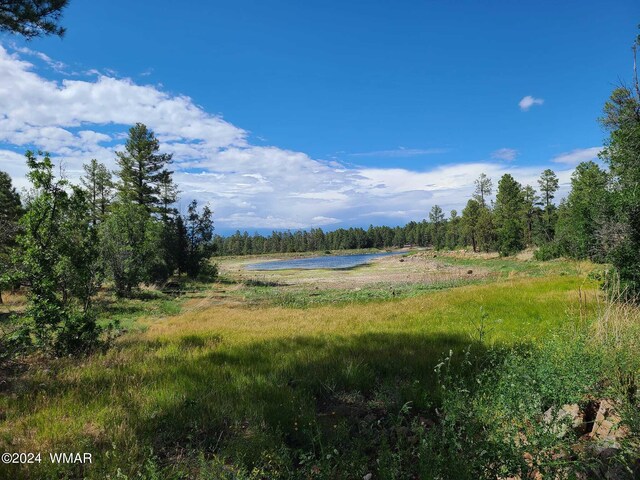 view of local wilderness with a water view