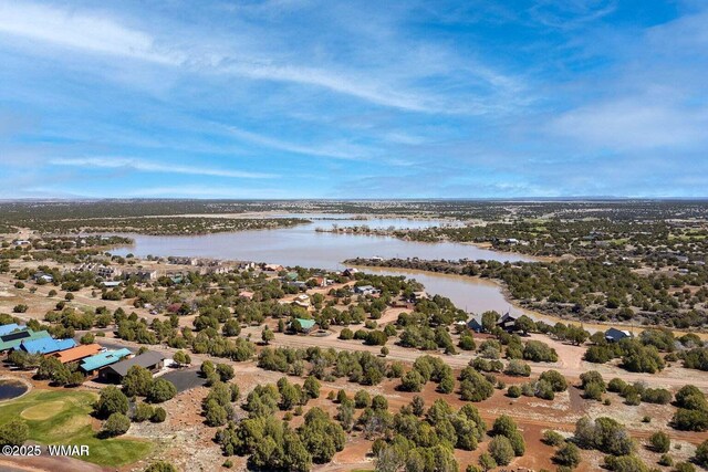 1879 Fairway Run, Show Low, AZ 85901 - drone / aerial view of a large body of water