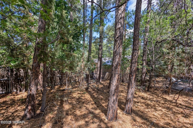 2038 Pine Wood Ln, Pinetop, AZ 85935 - photo 5