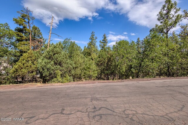 2038 Pine Wood Ln, Pinetop, AZ 85935 - photo 4