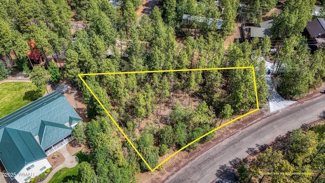 2038 Pine Wood Ln, Pinetop, AZ 85935 - photo 9