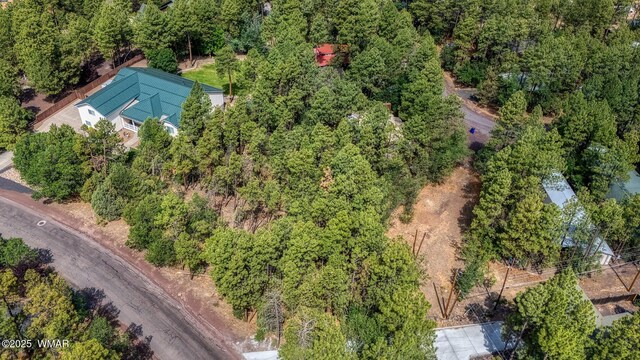 2038 Pine Wood Ln, Pinetop, AZ 85935 - photo 10