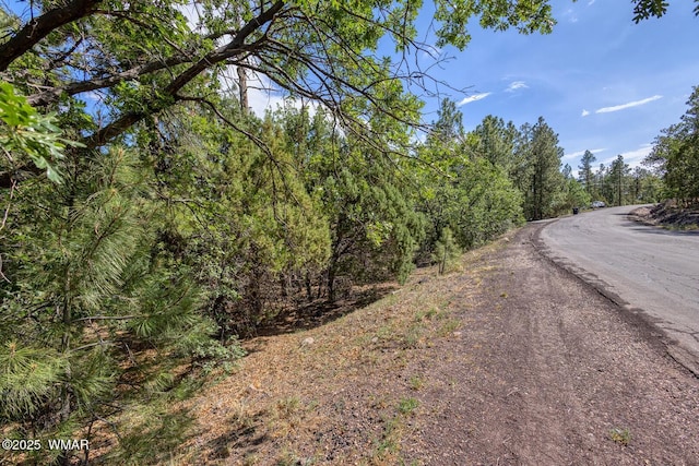 2038 Pine Wood Ln, Pinetop, AZ 85935 - photo 14