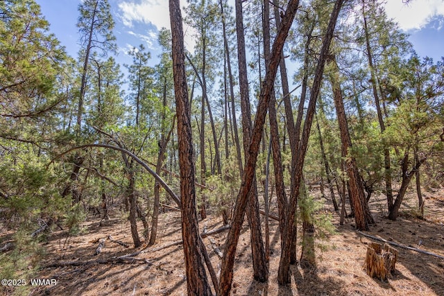 2038 Pine Wood Ln, Pinetop, AZ 85935 - photo 1