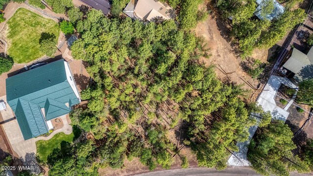 2038 Pine Wood Ln, Pinetop, AZ 85935 - photo 12
